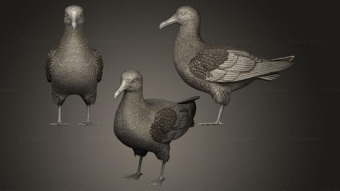 Bird figurines (Seagull staying, STKB_0068) 3D models for cnc